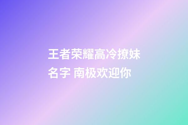 王者荣耀高冷撩妹名字 南极欢迎你